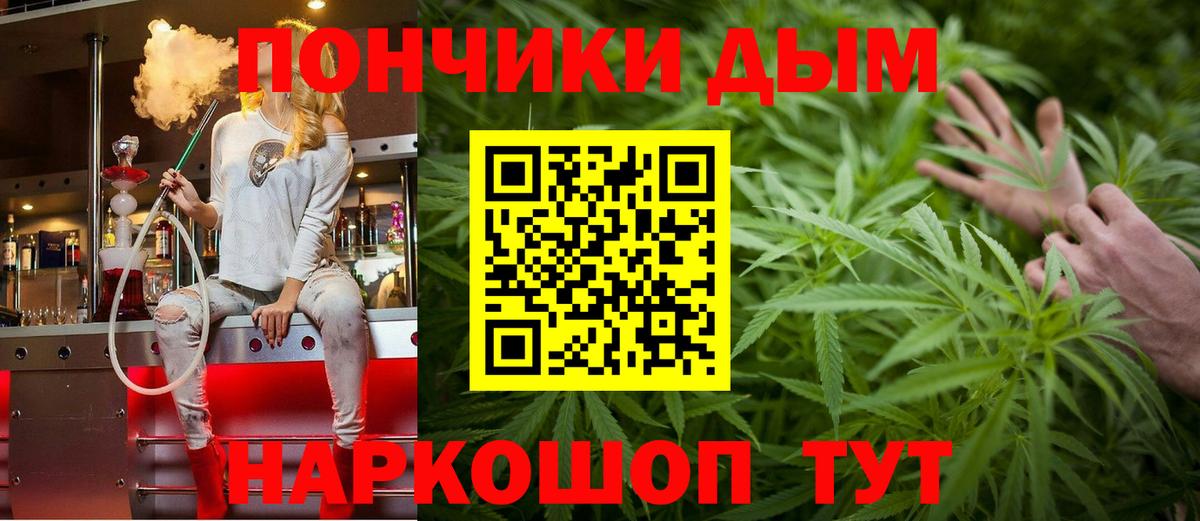 Бошки Шишки сатива Апшеронск